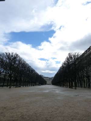 Vue plongeante sur les beaux jardins du Palais Royal